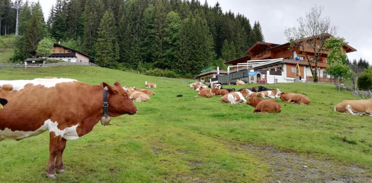 Hotel Berghaus Koglmoos Auffach Zewnętrze zdjęcie