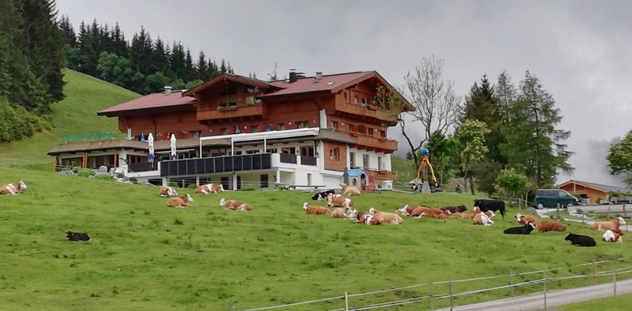 Hotel Berghaus Koglmoos Auffach Zewnętrze zdjęcie