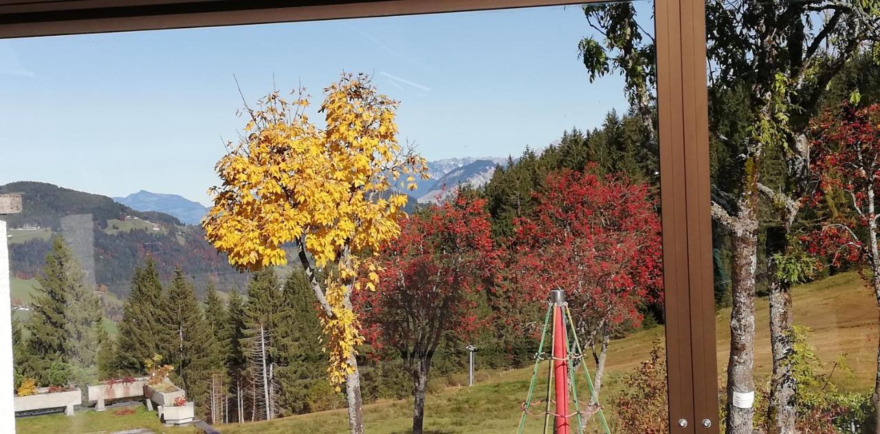 Hotel Berghaus Koglmoos Auffach Zewnętrze zdjęcie