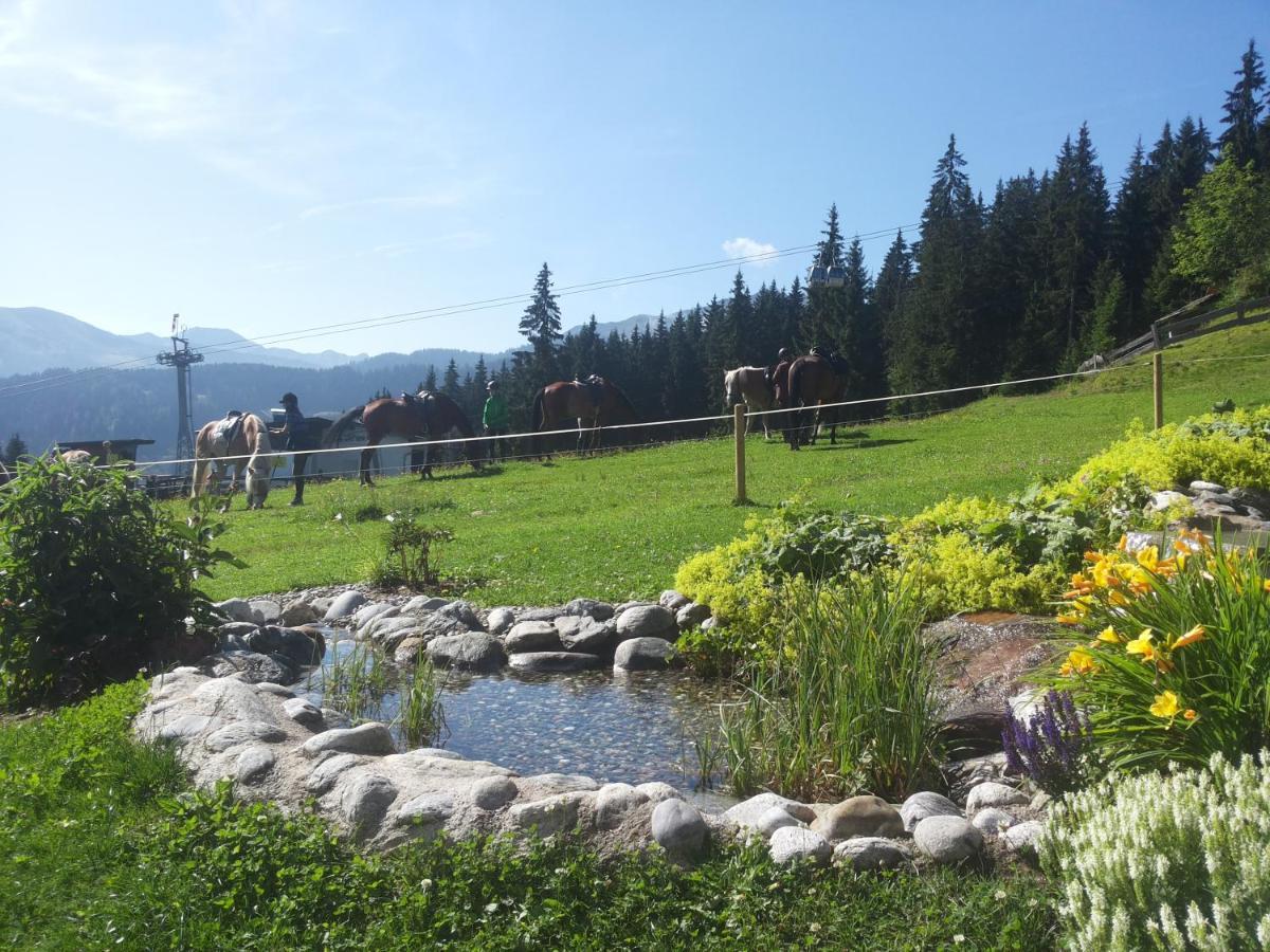 Hotel Berghaus Koglmoos Auffach Zewnętrze zdjęcie