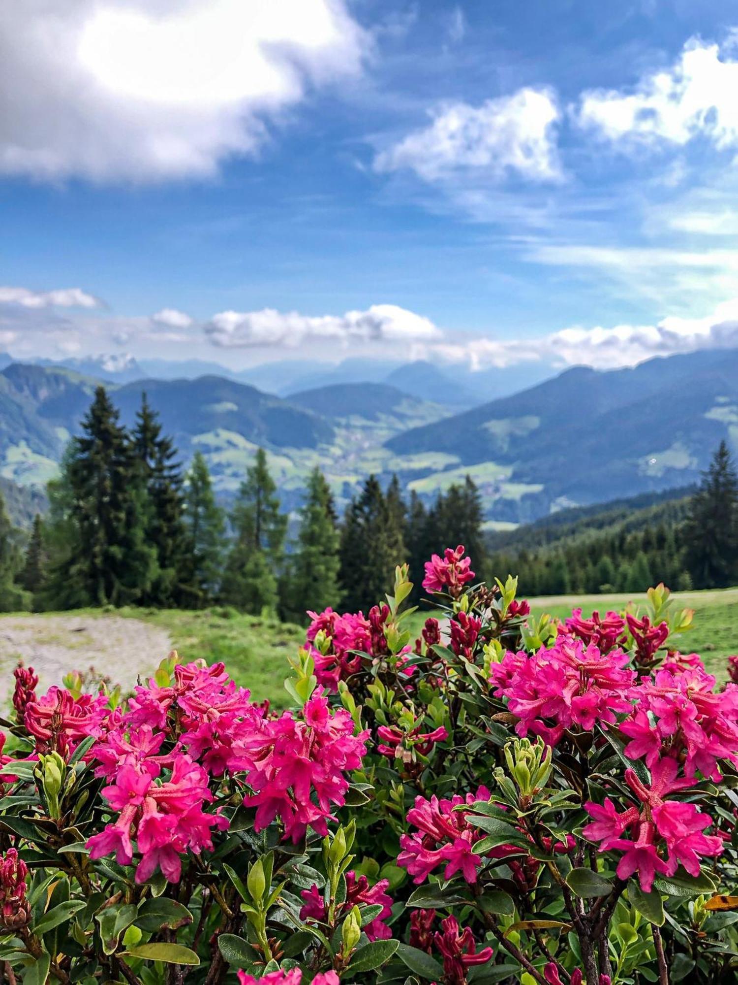 Hotel Berghaus Koglmoos Auffach Zewnętrze zdjęcie