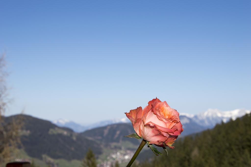 Hotel Berghaus Koglmoos Auffach Zewnętrze zdjęcie