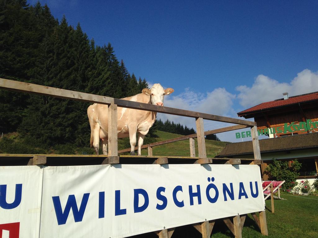Hotel Berghaus Koglmoos Auffach Zewnętrze zdjęcie