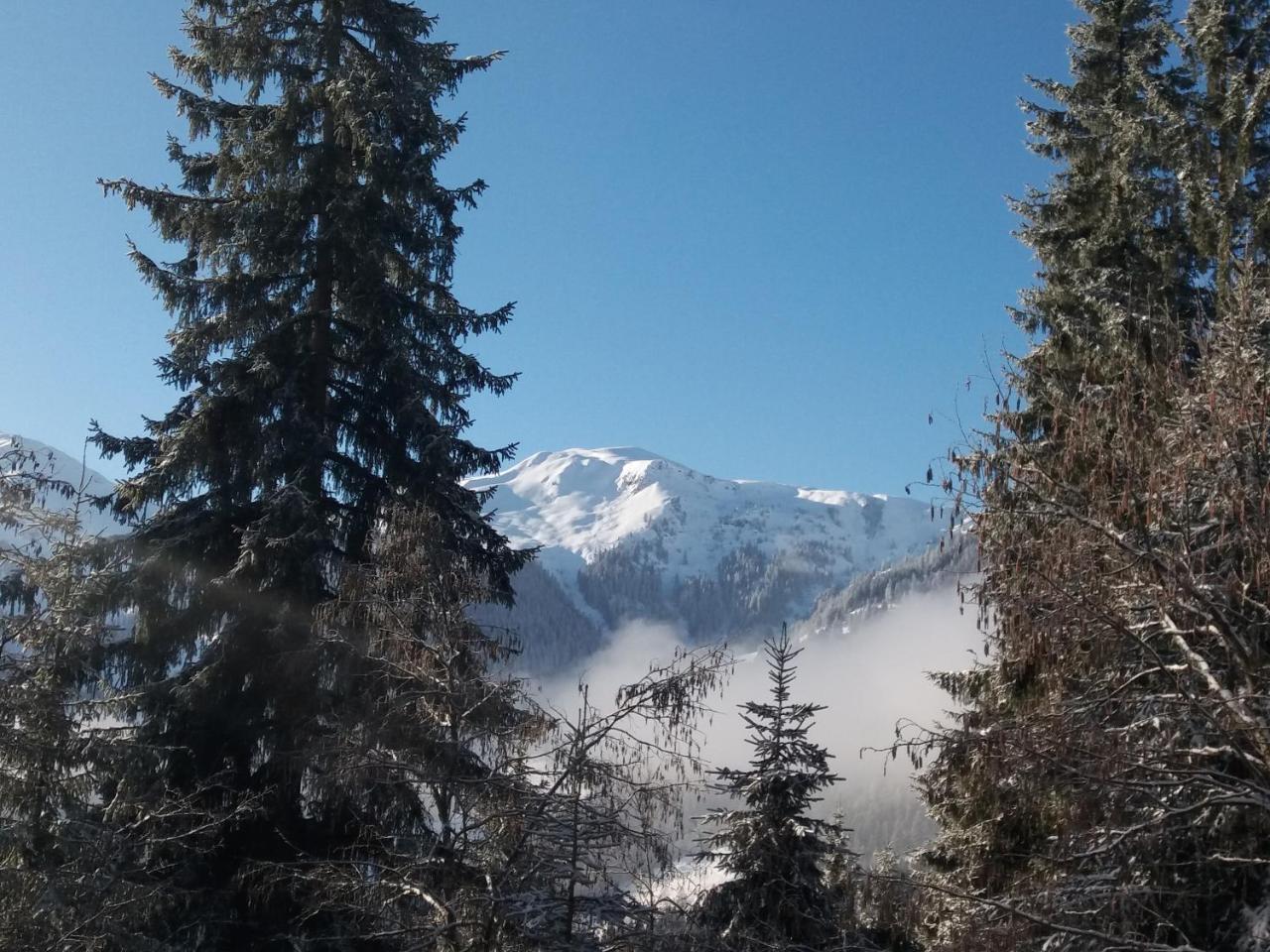 Hotel Berghaus Koglmoos Auffach Zewnętrze zdjęcie